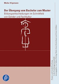 Der Übergang vom Bachelor zum Master - Meike Hilgemann - E-Book