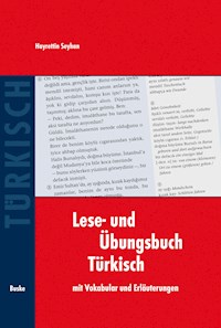 Lese- und Übungsbuch Türkisch - Hayrettin Seyhan - E-Book