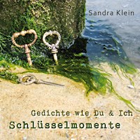 Schlüsselmomente - Sandra Klein - E-Book