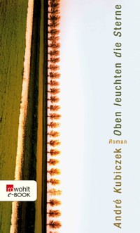 Oben leuchten die Sterne - André Kubiczek - E-Book