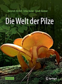 Die Welt der Pilze - Heinrich Dörfelt - E-Book