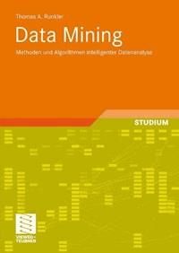 Data Mining - Thomas A. Runkler - E-Book