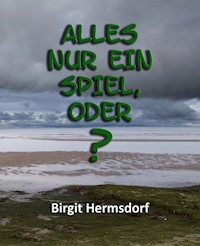 Alles nur ein Spiel, oder? - Birgit Hermsdorf - E-Book