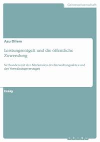 Leistungsentgelt und die öffentliche Zuwendung - Asu Dilem - E-Book