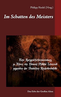 Im Schatten des Meisters - Michael Aufleger - E-Book