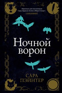 Ночной ворон - Сара Пэйнтер - E-Book