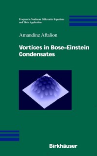 Vortices in Bose-Einstein Condensates - Amandine Aftalion - E-Book