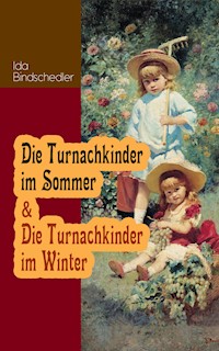Die Turnachkinder im Sommer & Die Turnachkinder im Winter - Ida Bindschedler - E-Book