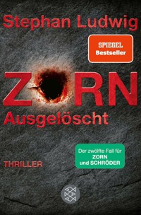 Zorn – Ausgelöscht - Stephan Ludwig - E-Book