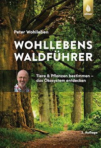 Wohllebens Waldführer - Peter Wohlleben - E-Book