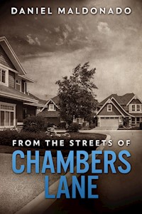 From The Streets of Chambers Lane - Daniel Maldonado - kostenlos E-Book