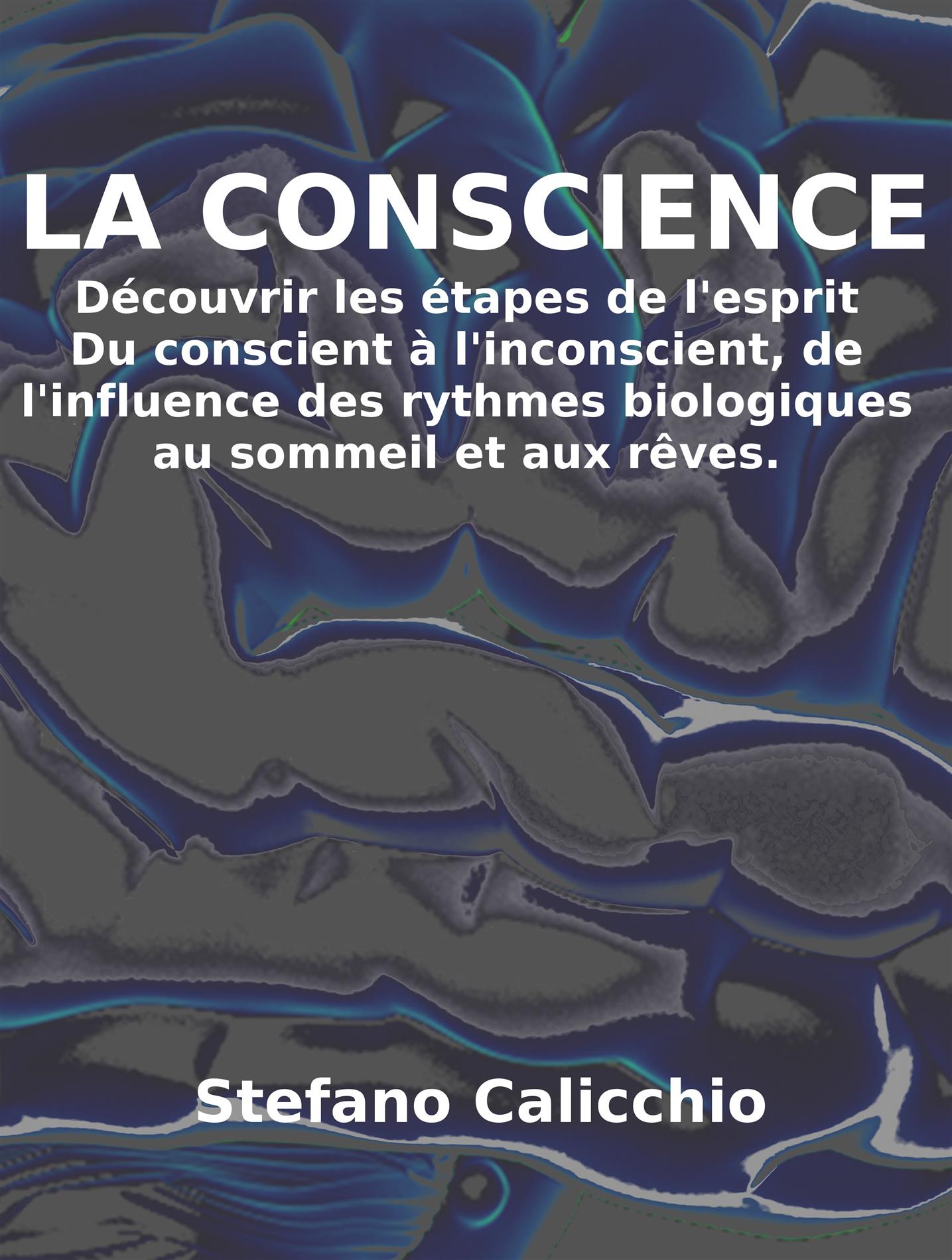 La conscience: découvrir les étapes de l'esprit - Stefano Calicchio - E-Book