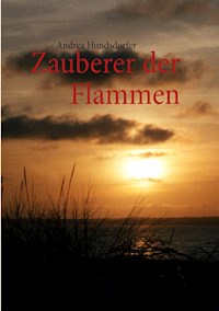 Zauberer der Flammen - Andrea Hundsdorfer - E-Book