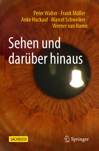 Sehen und darüber hinaus - Peter Walter - E-Book
