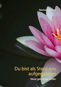 Du bist als Stern uns aufgegangen - Reinhard Zöllner - E-Book