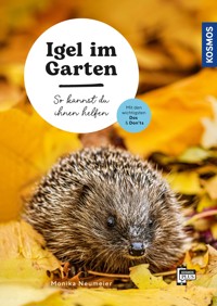 Igel im Garten - Monika Neumeier - E-Book