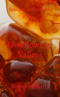 Overflowing Valleys - Jeremy McHarry - E-Book