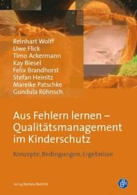 Aus Fehlern lernen ? Qualitätsmanagement im Kinderschutz - Reinhart Wolff - E-Book