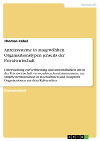 Anreizsysteme in ausgewählten Organisationstypen jenseits der Privatwirtschaft - Thomas Zabel - E-Book
