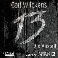 Die Anstalt - Dreizehn 2 (ungekürzt) - Carl Wilckens - Hörbuch