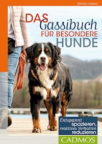 Das Gassi-Buch für besondere Hunde - Katrien Lismont - E-Book