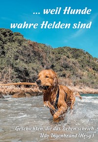 ... weil Hunde wahre Helden sind - Udo Ingenbrand - E-Book