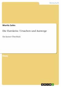 Die Eurokrise. Ursachen und Auswege - Moritz  Sehn - E-Book