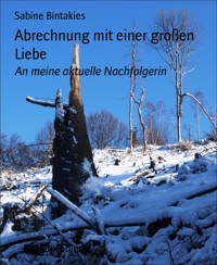 Abrechnung mit einer großen Liebe - Sabine Bintakies - E-Book