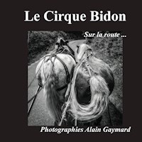 Le cirque Bidon - Alain Gaymard - E-Book