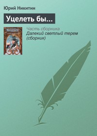 Уцелеть бы... - Юрий Никитин - E-Book