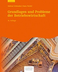 Grundlagen und Probleme der Betriebswirtschaft - Helmut Schmalen - E-Book