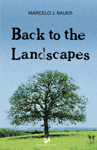 Back to The Landscapes - Marcelo J. Bauer - E-Book