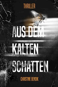 Aus dem kalten Schatten - Christine Bendik - E-Book