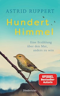 Hundert Himmel - Astrid Ruppert - E-Book