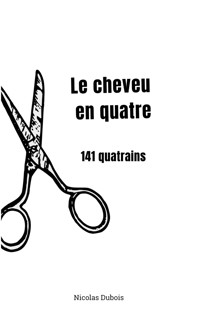 Le cheveu en quatre - Nicolas Dubois - E-Book