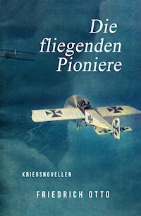 Die fliegenden Pioniere - Friedrich Otto - E-Book