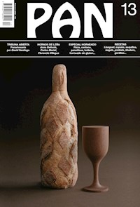 PAN 13 - aa.vv - E-Book