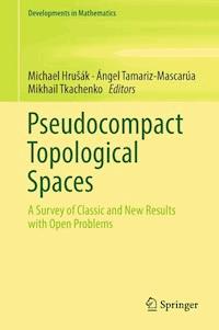Pseudocompact Topological Spaces -  - E-Book