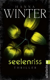 Seelenriss - Hanna Winter - E-Book