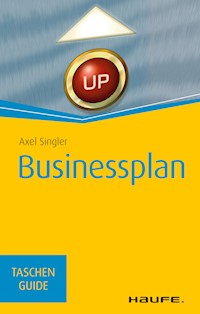 Businessplan - Axel Singler - E-Book