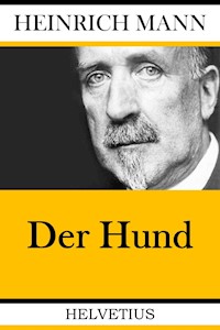 Der Hund - Heinrich Mann - E-Book