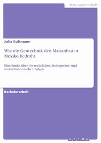 Wie die Gentechnik den Maisanbau in Mexiko bedroht - Julia Bultmann - E-Book