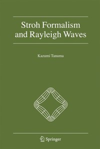 Stroh Formalism and Rayleigh Waves - Kazumi Tanuma - E-Book
