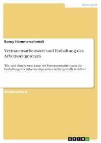 Vertrauensarbeitszeit und Einhaltung des Arbeitszeitgesetzes - Romy Hammerschmidt - E-Book