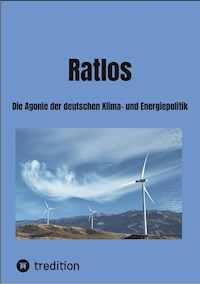 Ratlos - Rolf Bergmeier - E-Book