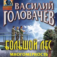 Большой лес. Многомерность - Василий Головачёв - Hörbuch
