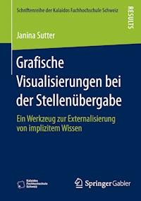 Grafische Visualisierungen bei der Stellenübergabe - Janina Sutter - E-Book