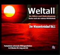 Der Wasserkreislauf - Barbara Stein - E-Book