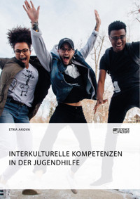 Interkulturelle Kompetenzen in der Jugendhilfe - Etka Akova - E-Book
