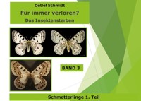 Für immer verloren? - Detlef Schmidt - E-Book